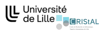 University of Lille - CRIStAL laboratory